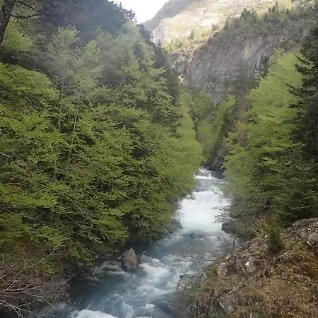 Asueto Ordesa *