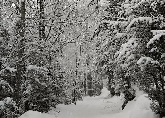Apartamento Asueto Ordesa